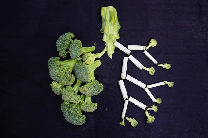 légumes nutriments chiens